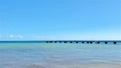 Key West Florida beaches! Free Higgs Beach snorkeling 🐠 so many fish in ...