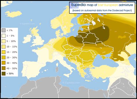 This East European component represents about a third of the Mesolithic European admixture in ...