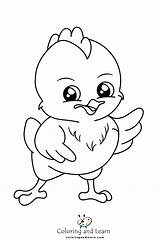 Chick Coloring Pages FREE 2025  And Learn sketch template