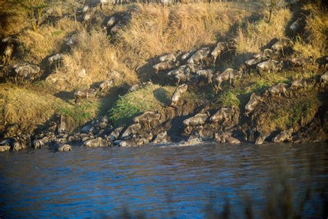 Serengeti Migration Safari - Welweit Adventures