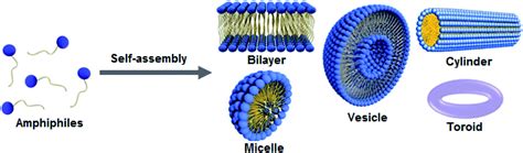 Non-ionic small amphiphile based nanostructures for biomedical applications - RSC Advances (RSC ...