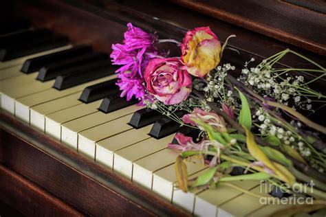 Old Piano Flowers Photograph by Ezume Images - Pixels