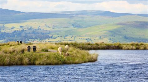 Brecon Beacons National Park Tours - Book Now | Expedia