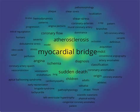 Frontiers | A bibliometric analysis on the progress of myocardial ...