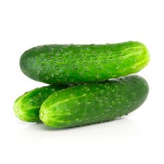 Spanish Cucumber » Gavà Grup