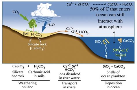 Chemical Weathering Hydrolysis Diagram