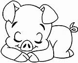 Cute Pig Coloring Pages PDF  Coloringfoldercom Enkla Teckningar sketch template