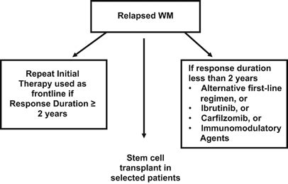 Approach to the treatment of relapsed Waldenstrom Macroglobulinemia.... | Download High-Quality ...