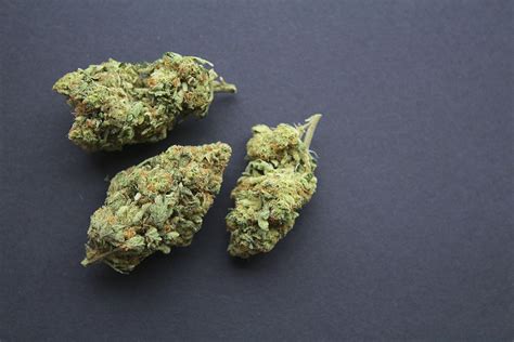 Stardawg Strain Review | The Stoner Mom Reviews