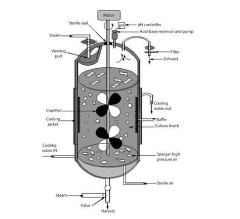 Bioreactor: Design, Principle, Parts, Types, Uses, Diagram