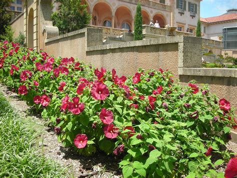 The Gardens of the Philbrook