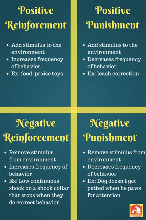 What is the Difference Between Negative Reinforcement & Negative Punishment?