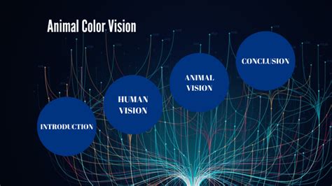 Animal Color Vision Project by Madeleine Norman on Prezi