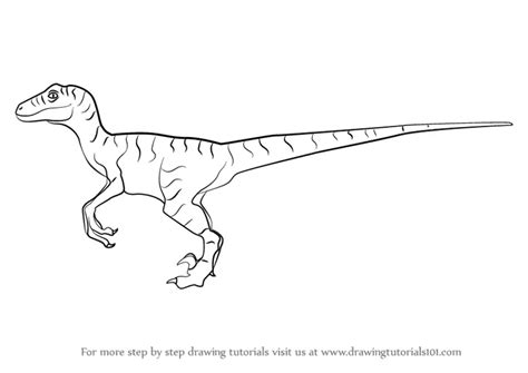 Learn How to Draw a Velociraptor Dinosaur (Dinosaurs) Step by Step : Drawing Tutorials