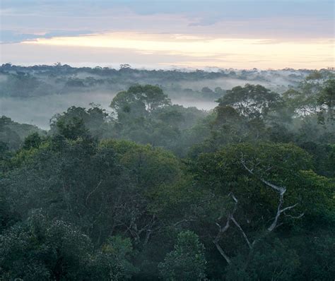 Terrestrial Ecology - Environmental System Science Program ...