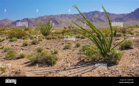 Desert landscape near Las Vegas, Nevada, USA Stock Photo - Alamy