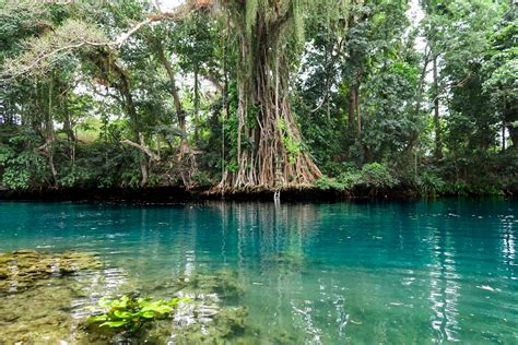 vanuatu-blue-holes-3 – Two At Sea