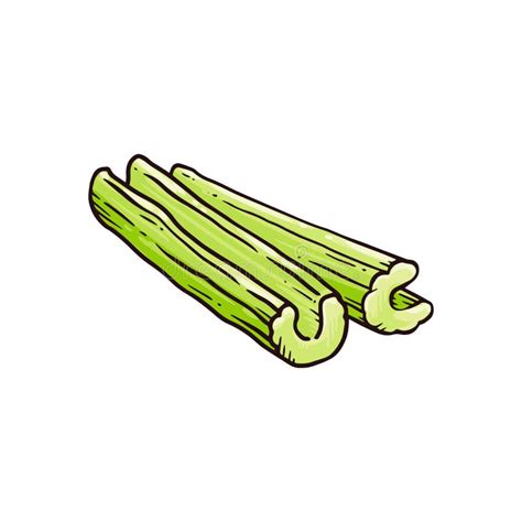 Celery Stalk Celery Clipart 6 000 vectors stock photos psd files