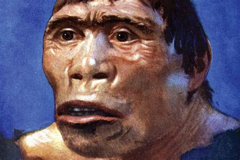 Gambar Manusia Purba Pithecanthropus Mojokertensis | Manusia, Gambar, Seni vintage