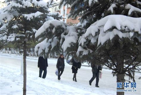 寒気の影響で一部の地域で低温_China.org.cn