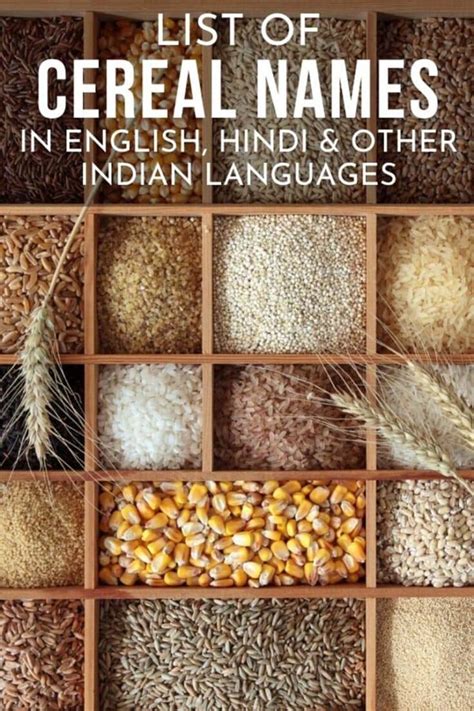 Cereals Names | Names of Grains in English, Hindi, Tamil | Cereals List