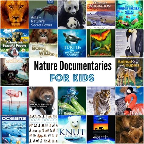 29 Incredible Nature Documentaries for Kids and Families