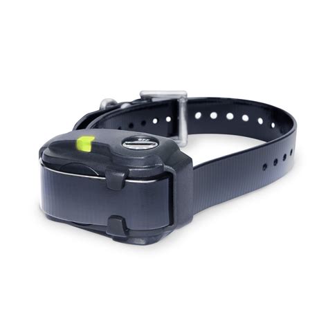 Dogtra YS200 No Bark Collar - Black - Walmart.com - Walmart.com