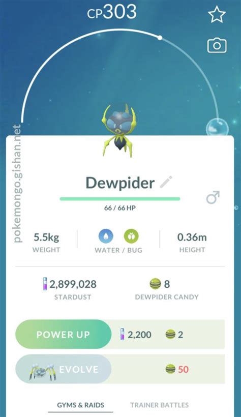 Dewpider - Pokemon Go