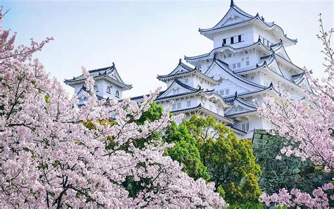 Online crop | HD wallpaper: himeji castle | Wallpaper Flare