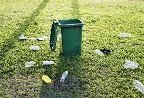 La contaminación del suelo, una realidad oculta y sus soluciones - Medioson