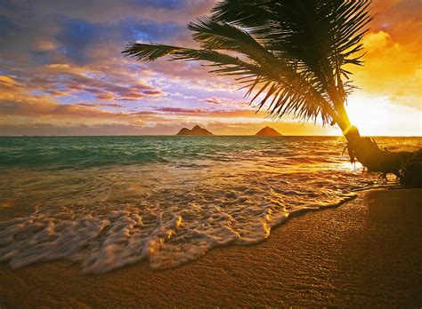 Hawaii Beach Sunrise Wallpaper