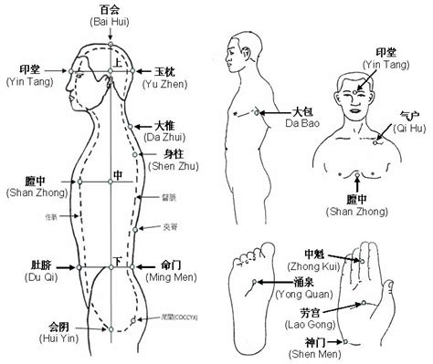 Chart of Qigong Acupoints | Zhineng Qigong Society Singapore | Qigong ...