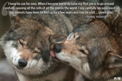 Wolf Quotes About Love. QuotesGram