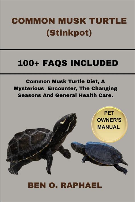 COMMON MUSK TURTLE (Stinkpot): Common Musk Turtle Diet, A Mysterious Encounter, The Changing ...