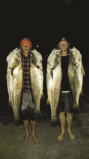 Jewfish and tailor arrive on Clarence Coast | Bush 'n Beach Fishing Mag