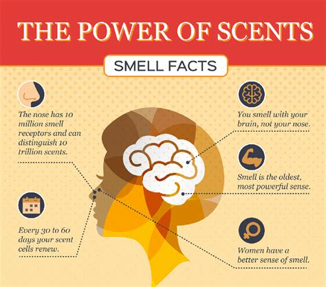 The Power of Scent: Smell Facts [Infographic]