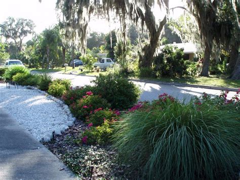 xeriscaping florida | Examples of Our Xeriscaping Solutions by driveway | Xeriscape, Landscape ...