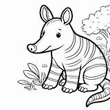 Aardvark Coloring Pages 21  Coloring Gem sketch template