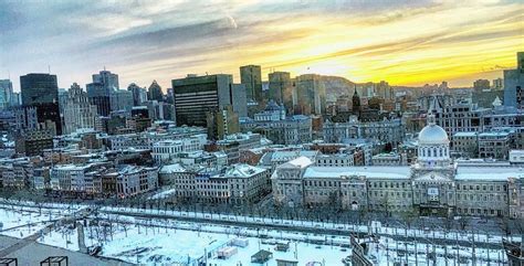 This morning's snowfall turned Montreal into a winter wonderland | News