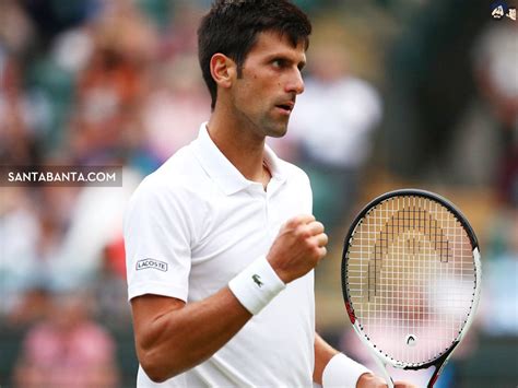 Djokovic Wallpapers - 4k, HD Djokovic Backgrounds on WallpaperBat