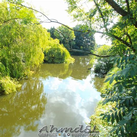 Westbroekpark (The Hague) - All You Need to Know BEFORE You Go