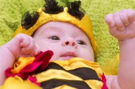 Honey Bee Baby stock image. Image of caucasian, girl - 40877765