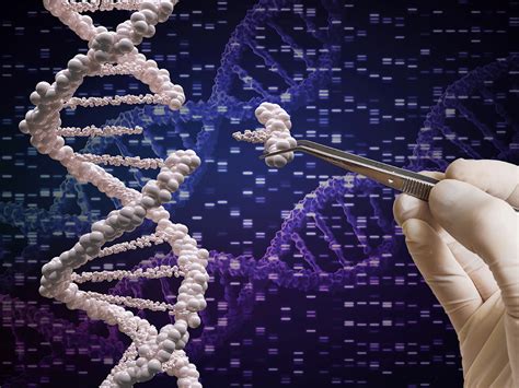 Understanding DNA repair mechanisms allows for crisper CRISPR genome editing | 2021-10-25 | BioWorld