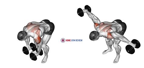 Dumbbell Rear Lateral Raise - Home Gym Review