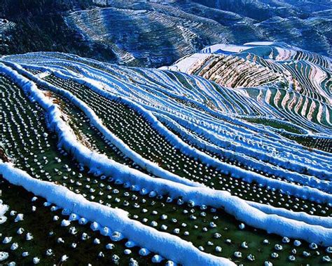 Longsheng Weather | Best Time to Visit Longji Rice Terraces (Guilin)