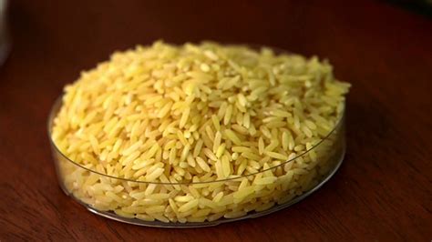 New Golden Rice Variety Could Allegedly Help 'Vitamin A' Deficient People