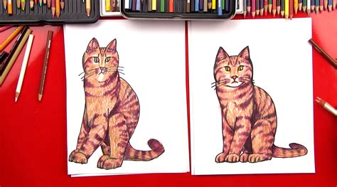 How To Draw A Realistic Cat Step By Step