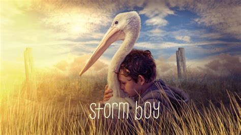 Storm Boy: A beautiful tale of a boy and his pelican - Reelmama.com