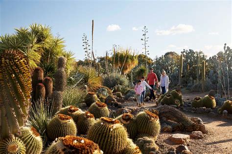 Cactus Country Garden Entry - Cactus Country Reservations