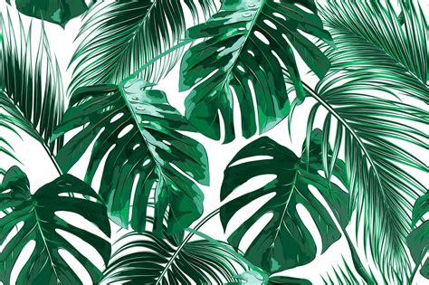 Banana Leaf Wallpapers - Top Free Banana Leaf Backgrounds - WallpaperAccess